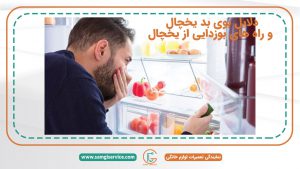 دلایل ، علت های بوی بد یخچال ، چرا یخچال ها بو می گیرند چگونه می توان بوی بد یخچال را از بین برد روش های بوزدایی و رفع بوی بد یخچال