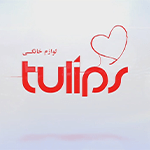 نمایندگی تولیپس